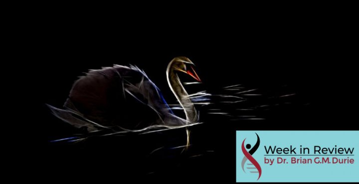 Creative photo filter creates this striking image of a dark swan on black water