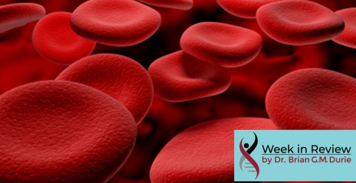red blood cells