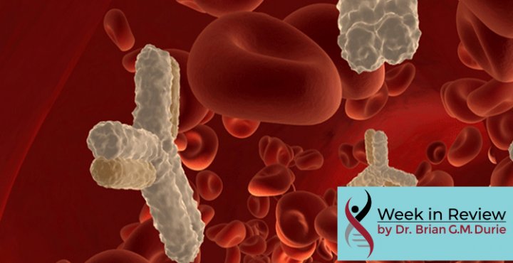 blood stream red bloods cells and antibodies - artist's depiction