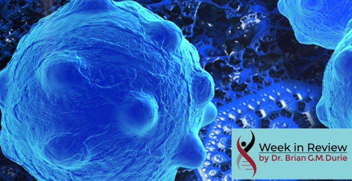 Artist's depiction of a cell