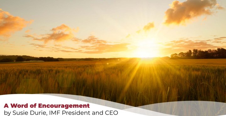 image of a sunrise over a field
