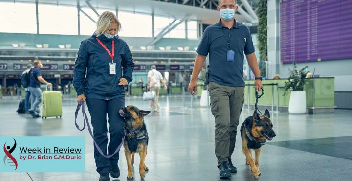 airport with security and covid screening dogs