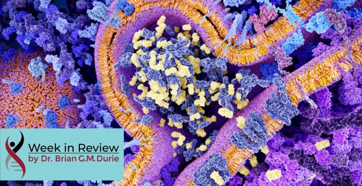 chimeric antigen receptor blog
