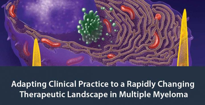 Adapting Clinical Practice to a Rapidly Changing Therapeutic Landscape in Multiple Myeloma