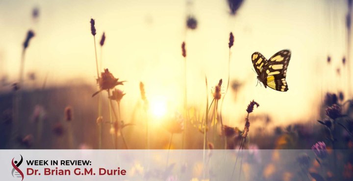 A butterfly floats over a field