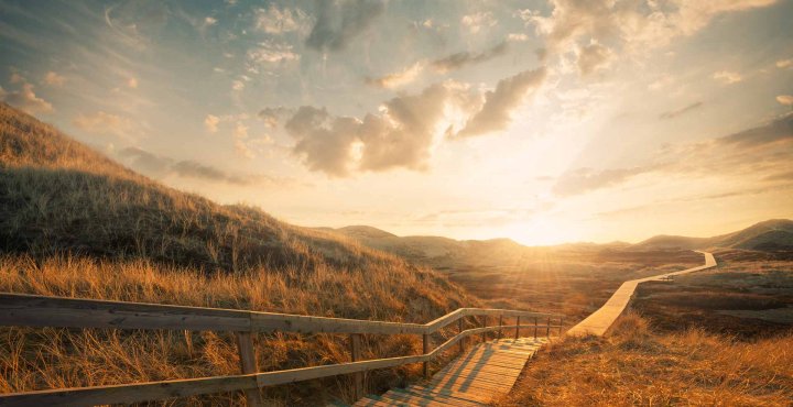 A winding path into the sunset.