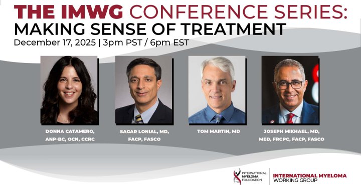 IMF IMWG Conference Series flyer