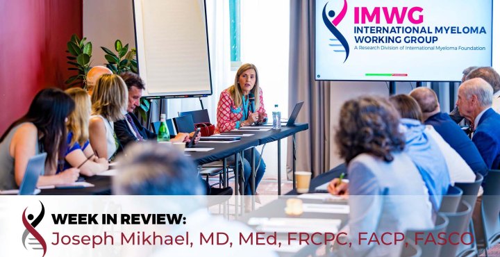2025 IMWG Summit 