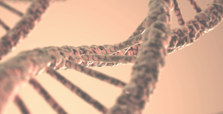 DNA Structure graphic