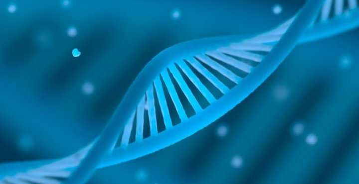 Depiction of a DNA Stand 