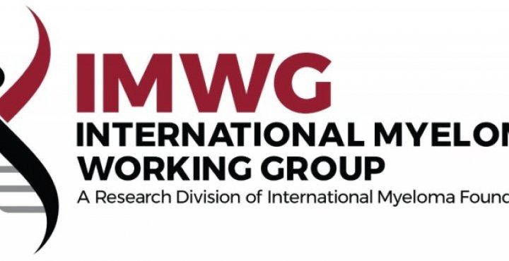 International Myeloma Working Group Logo