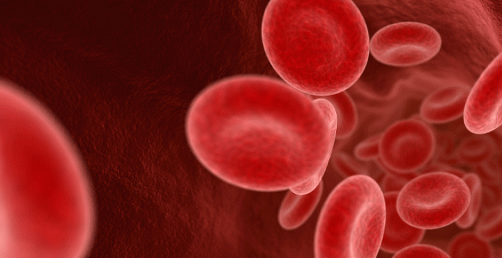 Red Blood Cells 