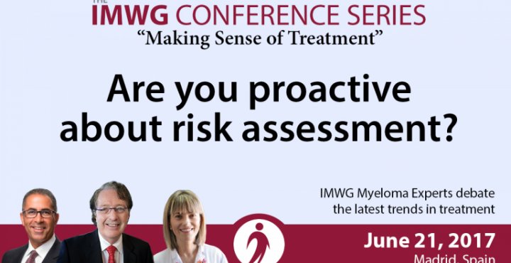 IMWG Summit Madrid 2017: Being Proactive About Risk Assessment