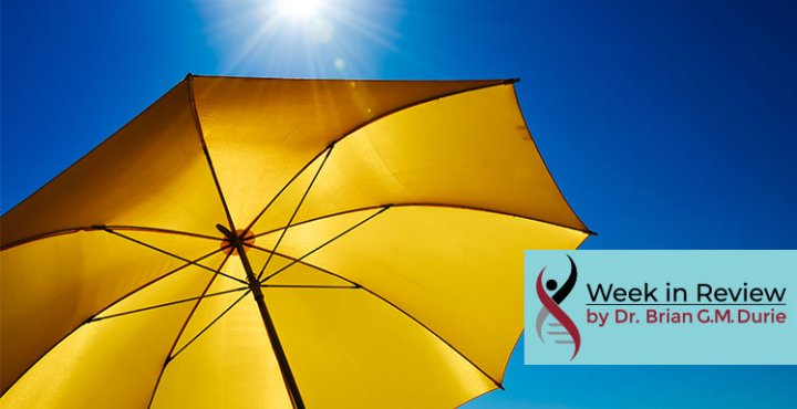 image of an umbrella under a sun