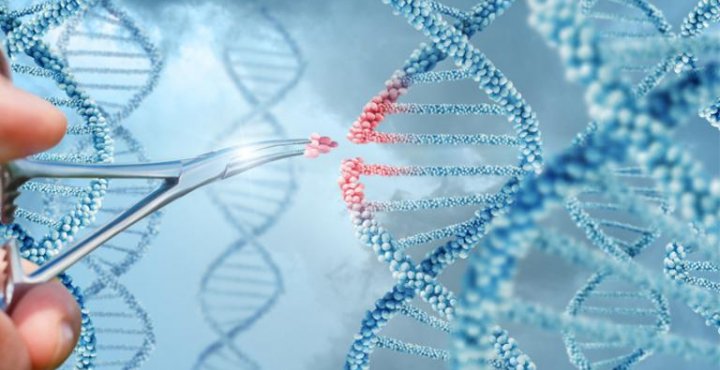 researcher manipulates an graphic of dna