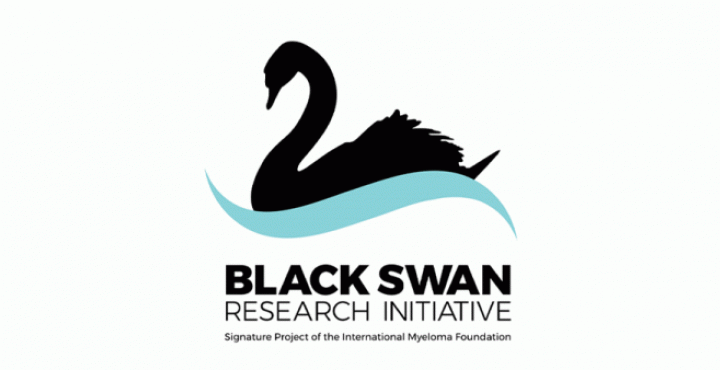 The IMF's Black Swan Research Initiative logo