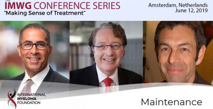 title card for IMWG conference series Amsterdam 2019 Maintenance
