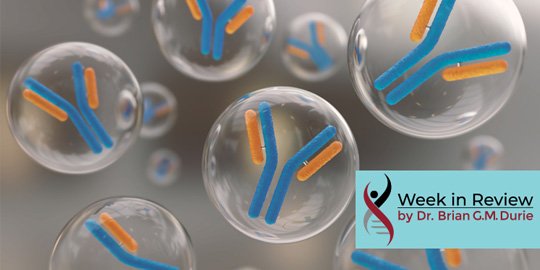 3D rendering of an antibody immunoglobulin molecule