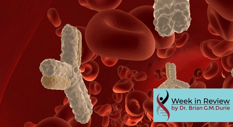 blood stream red bloods cells and antibodies - artist's depiction