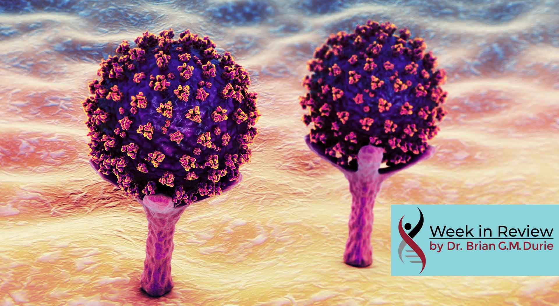 covid 19 virus cells
