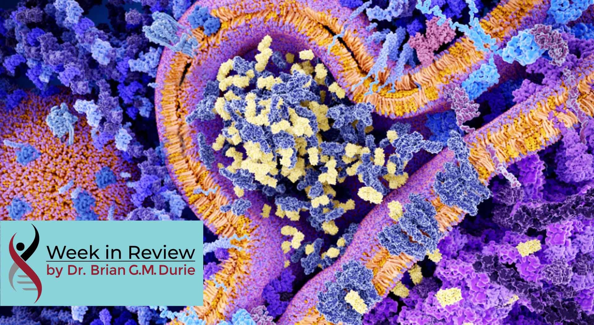 chimeric antigen receptor blog