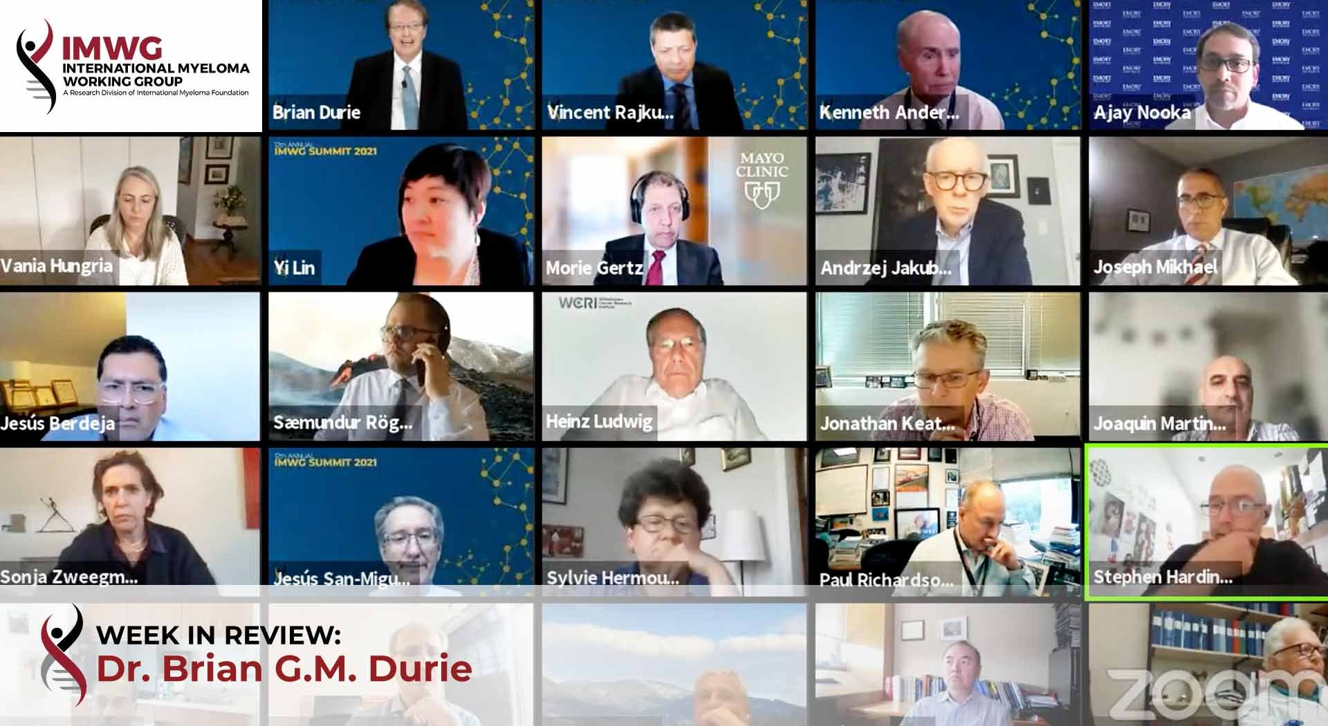 panelists at the international myeloma working group virtual summit