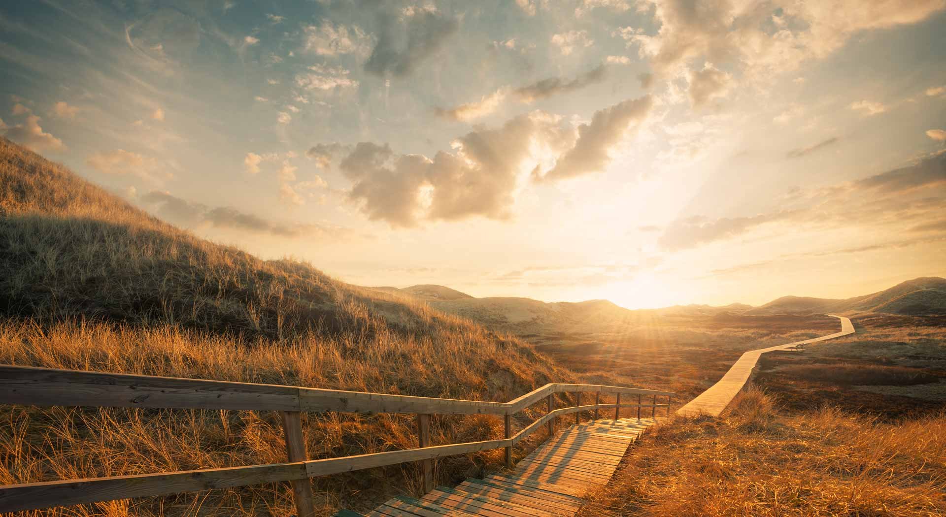 A winding path into the sunset.
