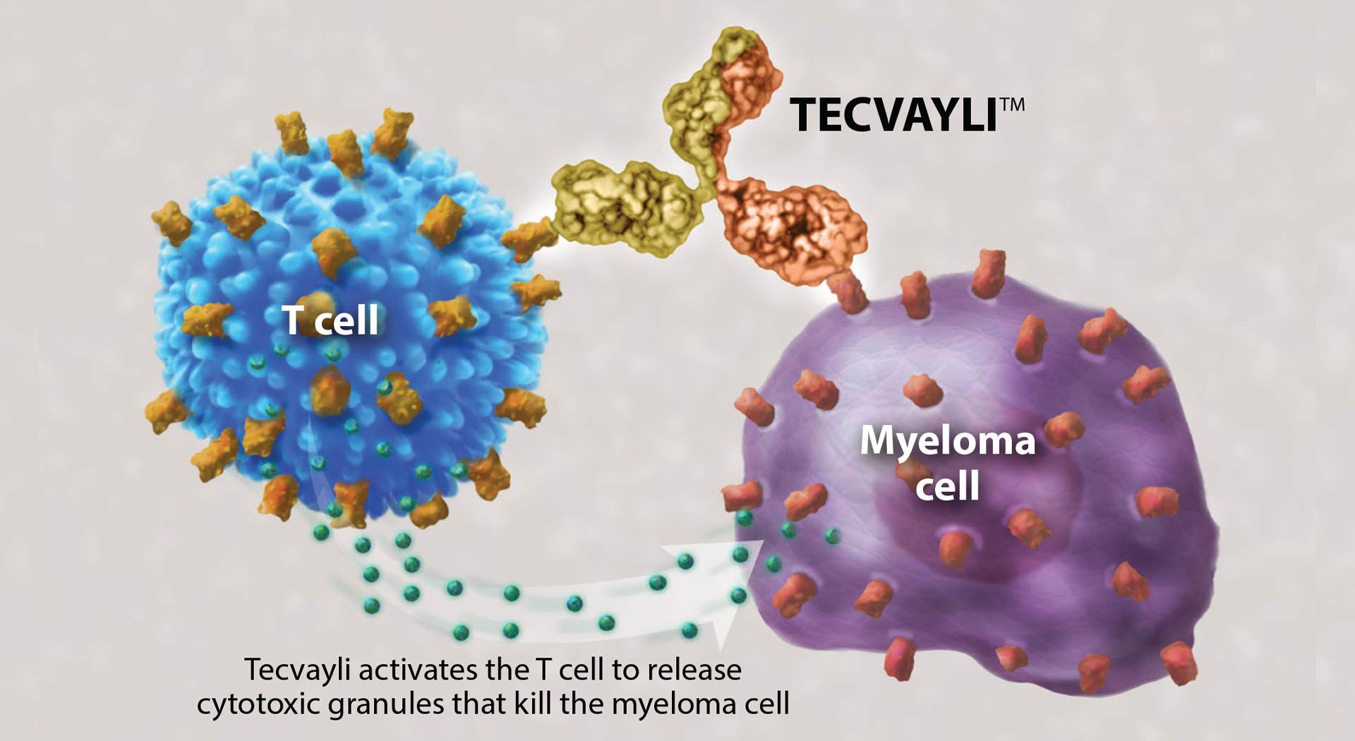 Tecvali is now FDA approved for use in multiple myeloma.