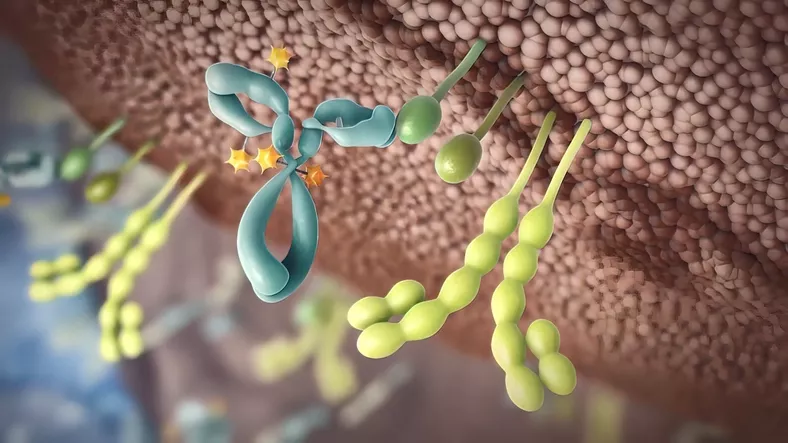 cell therapies