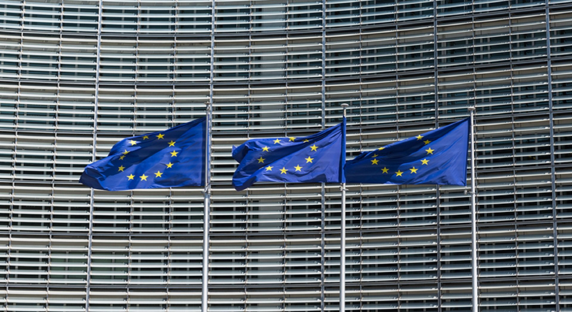 waving European Union flags