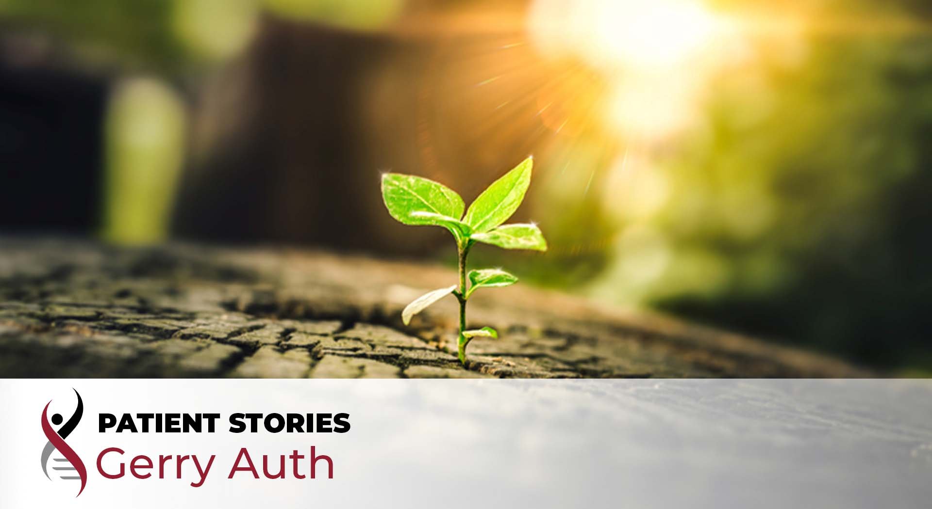 plant budding out of concrete