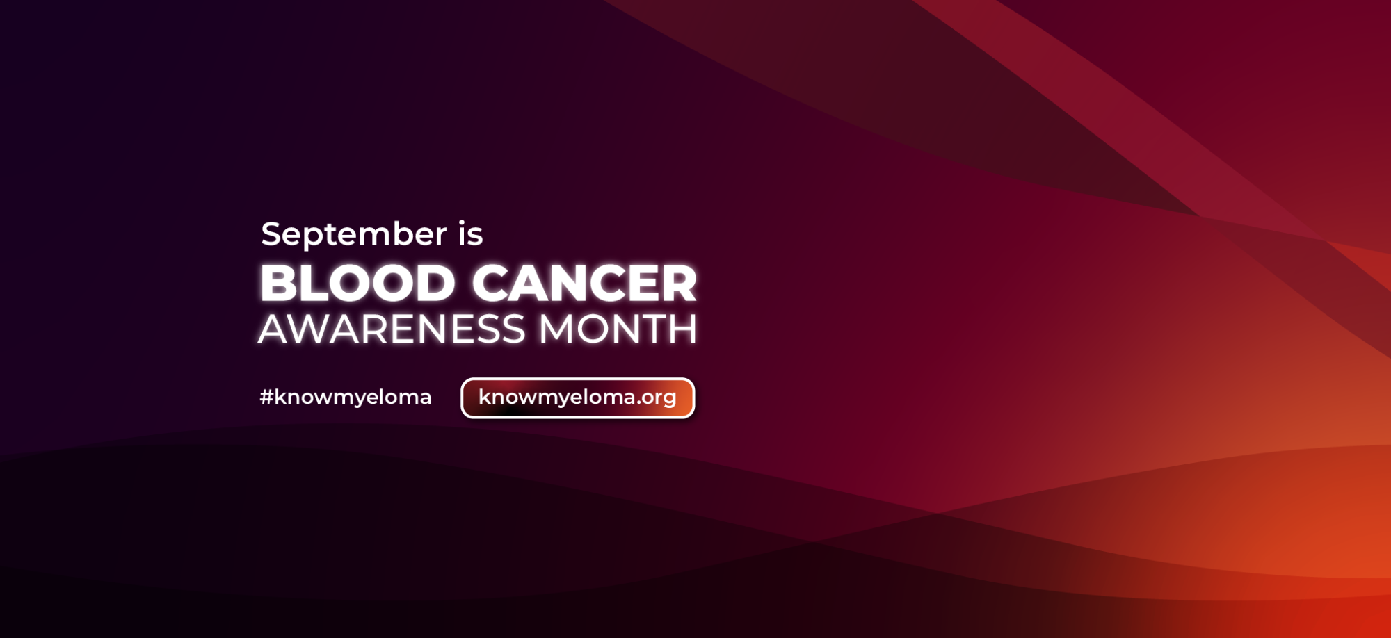 Blood Cancer Awareness Month | Know Myeloma