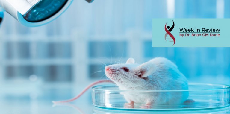 Blog image mice in a laboratory setting