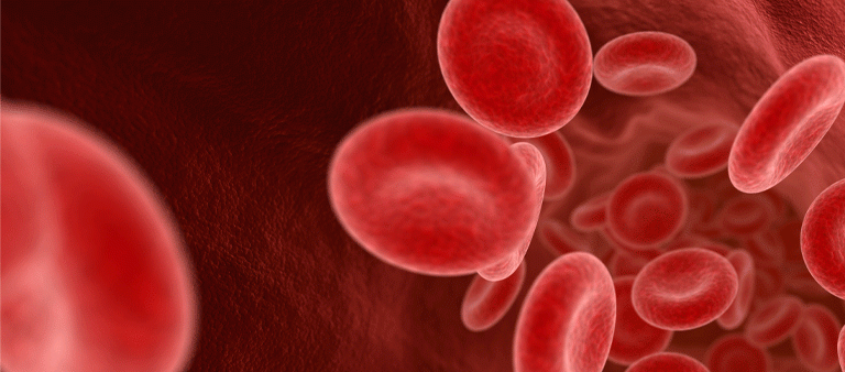 Red Blood Cells 