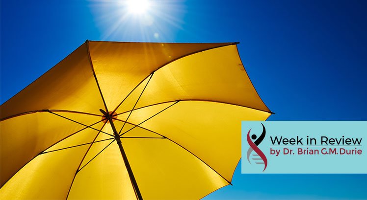 image of an umbrella under a sun