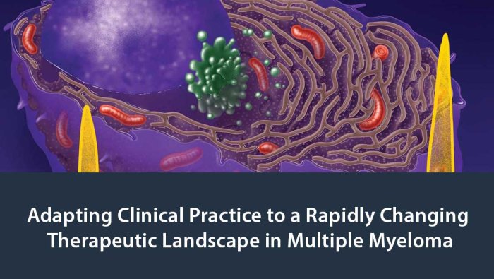 Adapting Clinical Practice to a Rapidly Changing Therapeutic Landscape in Multiple Myeloma