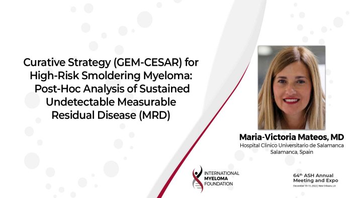 Dr. Maria Victoria Mateos on GEM CESAR update