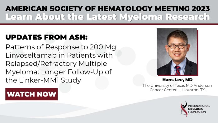 Patterns of Response to 200 Mg Linvoseltamab in Patients with Relapsed/Refractory Multiple Myeloma: Longer Follow-Up of the Linker-MM1 Study