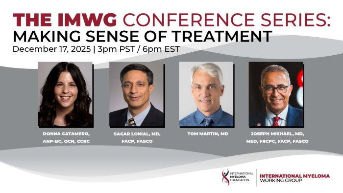 IMF IMWG Conference Series flyer