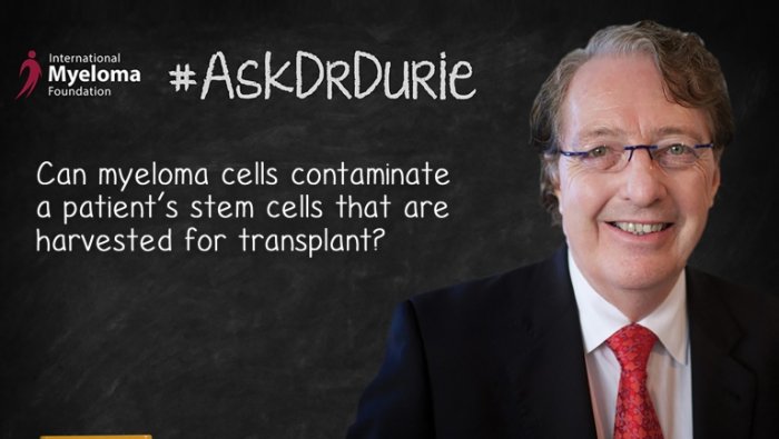 Video still of Dr. Brian G.M. on chalkboard backdrop with text overlay: Can myeloma cells contaminate a patient’s stem cells that are harvested for transplant?