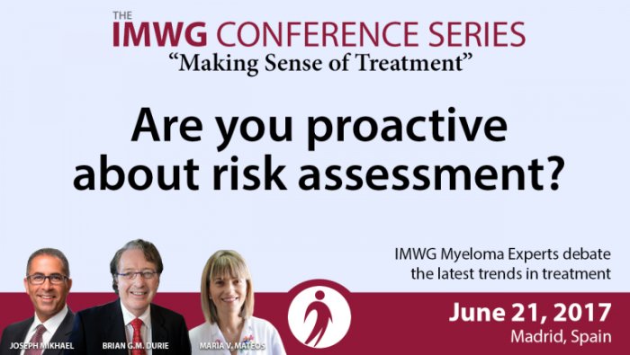 IMWG Summit Madrid 2017: Being Proactive About Risk Assessment